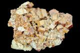 Red & Brown Vanadinite Crystal Cluster - Morocco #117728-1